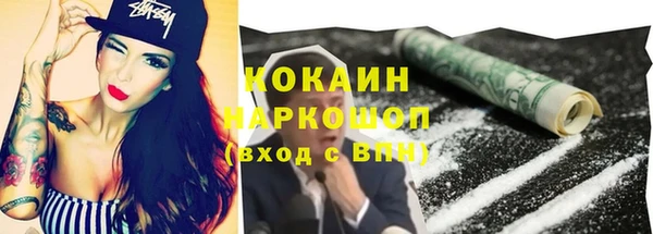 ешки Алексин