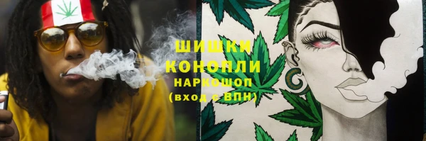 ешки Алексин