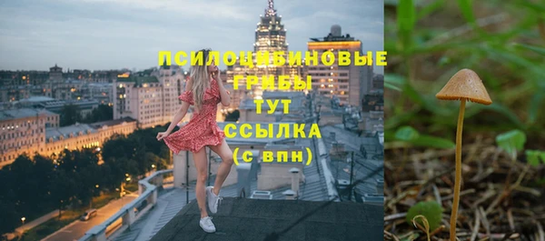 дмт Алексеевка