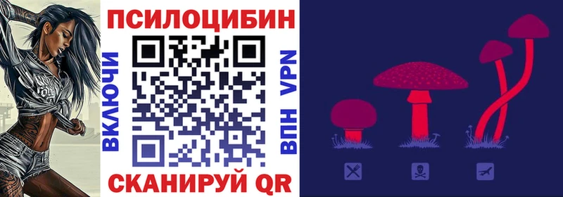 Галлюциногенные грибы мухоморы  дарнет шоп  Октябрьск 